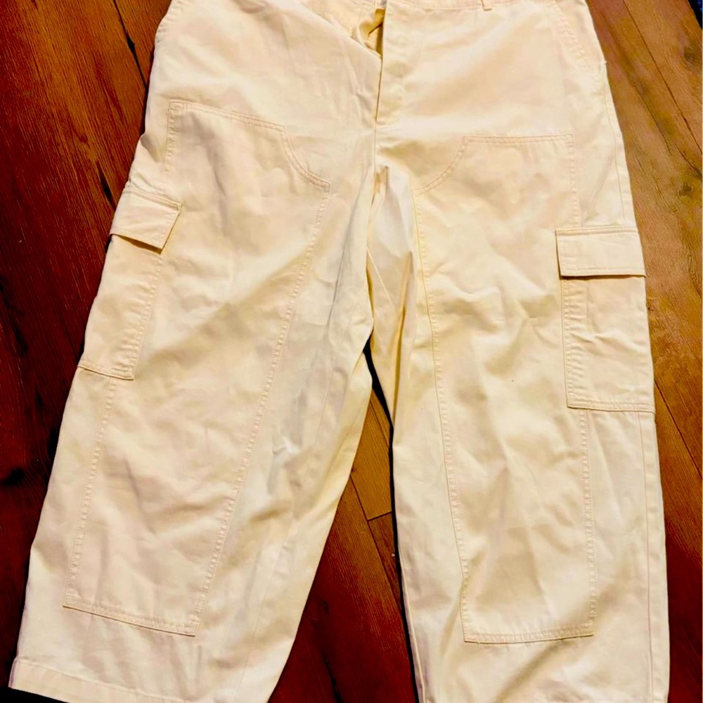 Woman’s plus size 17 NWT Universal Threads cargo pants! FREE SHIPPING